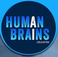 human brains.jpg